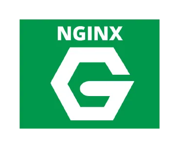 nginx proxy