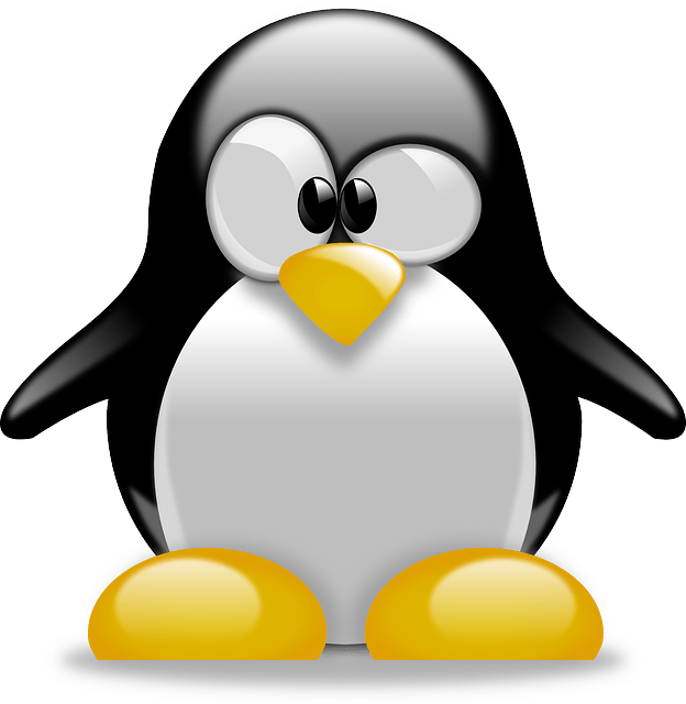 Linux version