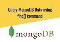 Query MongoDB Data using find() command