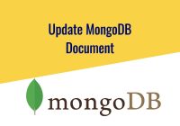 Update MongoDB Document