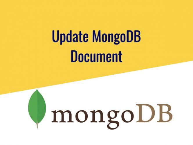 Update MongoDB Document